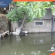 Փրկարարներն իրականացրել են ջրահեռացման աշխատանքներ՝ վերացնելով արտակարգ դեպքի հետևանքները
