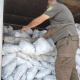 Ապօրինի փայտանյութի ու սևահողի տեղափոխում, մթնոլորտային օդի աղտոտում․ ԲԸՏՄ ստուգայցերի արդյունքներ