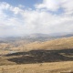 Վայք համայնքում հրդեհից այրվել է 82 հա տարածք և տասնյակ պտղատու ծառեր