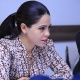 Ադրբեջանի ծրագրերն ուղիղ են, Հայաստանը չի արձագանքում, նախընտրելով ներքաղաքական ճակատամարտ․ Հայրապետյան
