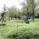 Երևանում կտեղադրվի «Կնոջ ֆիգուր» քանդակը