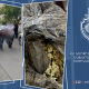Քրեական ոստիկանները շրջանառությունից դուրս են բերել մոտ 4,5 կիլոգրամ մարիխուանա