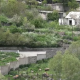 Ադրբեջանցին, ըստ Շաքիում տուժածի քրոջ, պատանդ է վերցրել երեխաներին, մայրը նրանց պաշտպանելիս կnրցրել է 3 մшտները