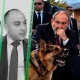 Փաշինյանը թող շուն պահի․ ինչ է իրականում կատարվել Շաքիում